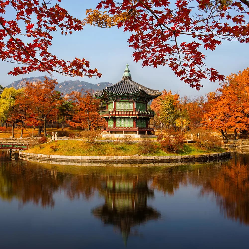 Ground Tour (Private Trip)