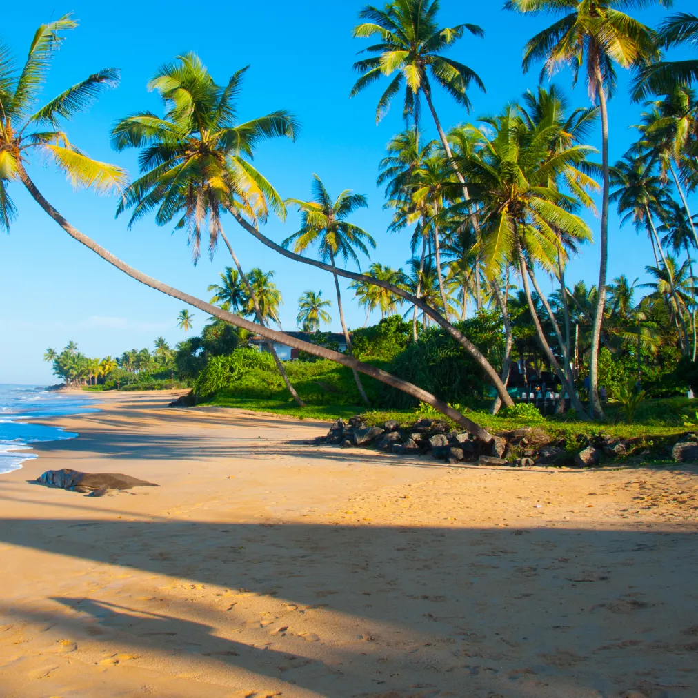 ISLAND TOUR